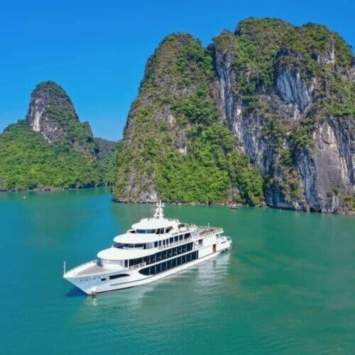 Sea Octopus Day Cruise