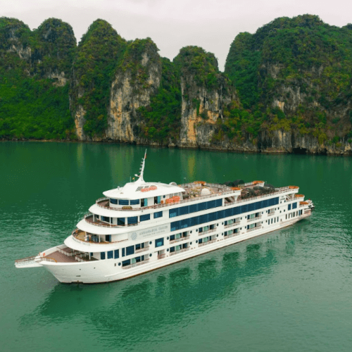 Ambassador Day Cruise