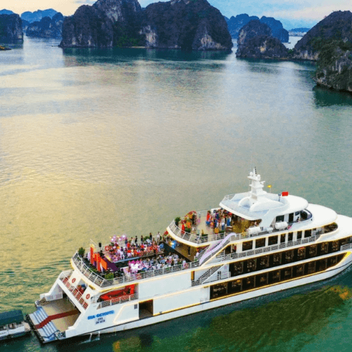 Sea Octopus Dinner Cruise